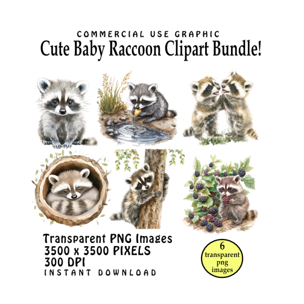 Adorable Baby Raccoon Clipart Bundle